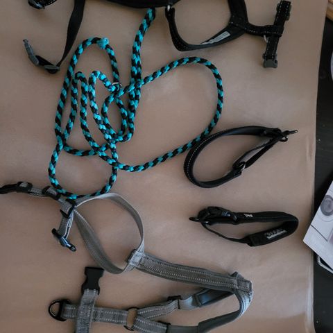 Annonsebilde