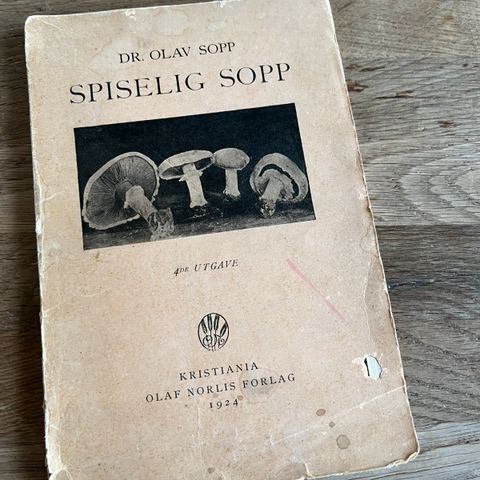 Annonsebilde