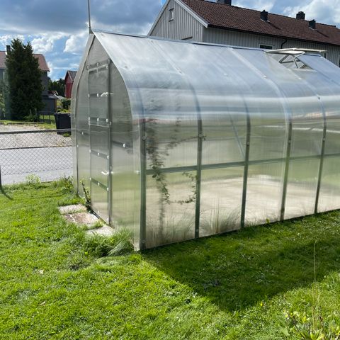 Annonsebilde