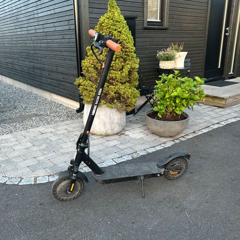 Annonsebilde