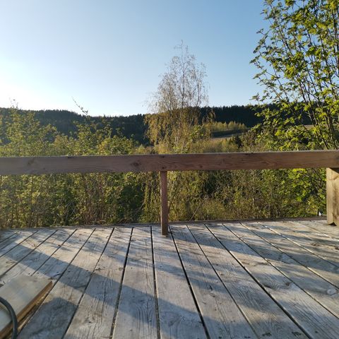 Annonsebilde