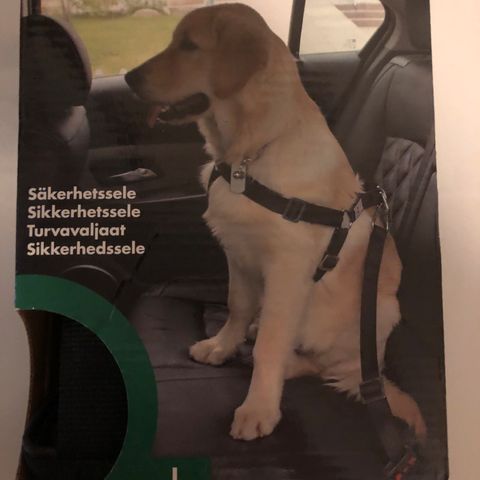 Annonsebilde
