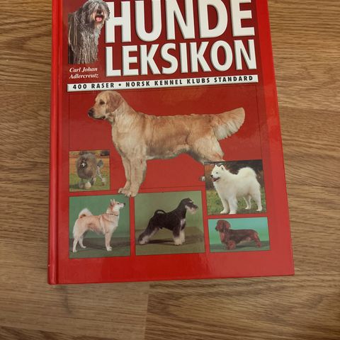Annonsebilde
