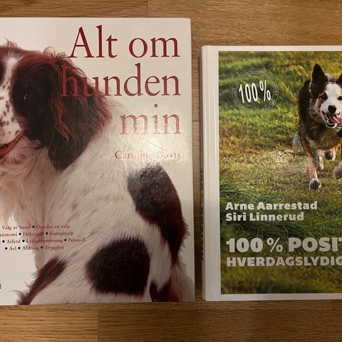 Annonsebilde
