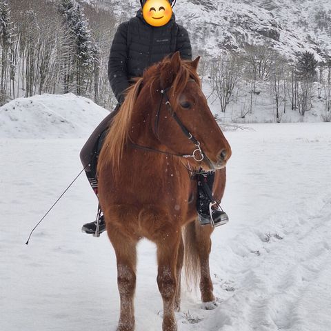 Annonsebilde
