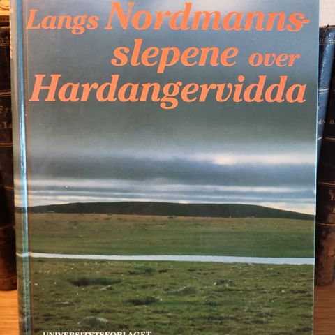 Annonsebilde