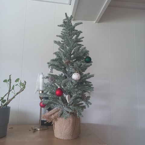 Annonsebilde