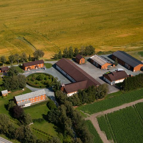 Annonsebilde