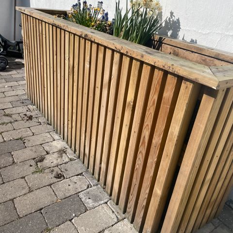 Annonsebilde