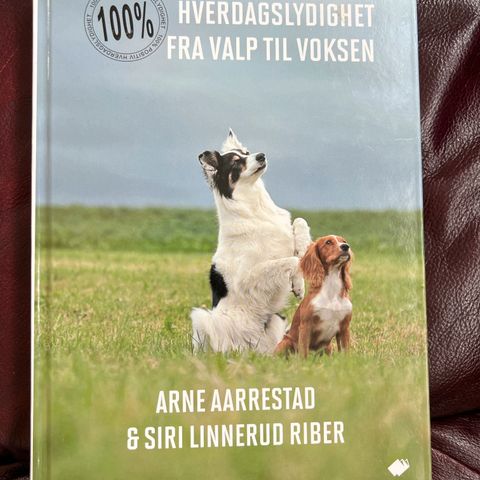 Annonsebilde