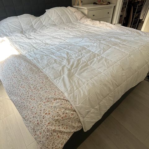 Annonsebilde