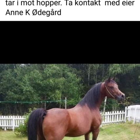 Annonsebilde