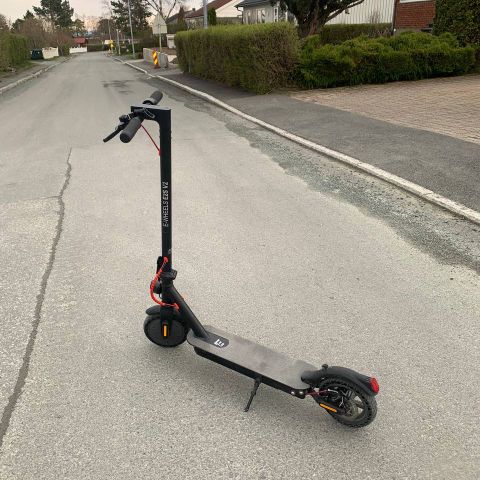 Annonsebilde