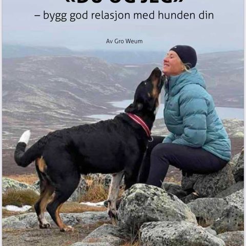 Annonsebilde