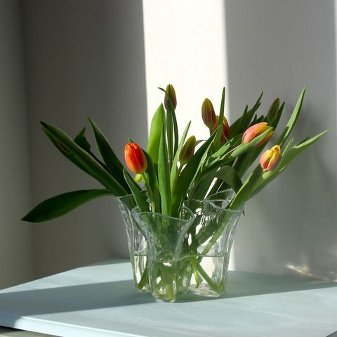 Annonsebilde