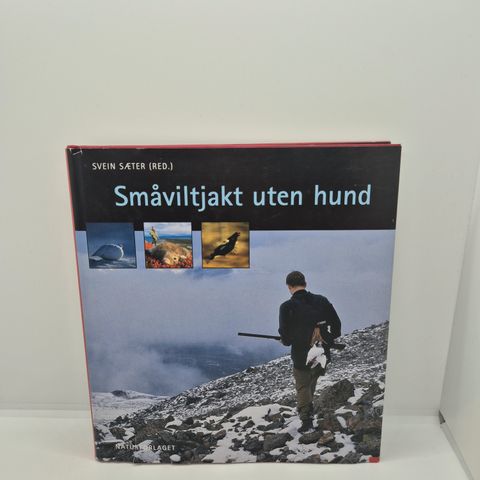 Annonsebilde