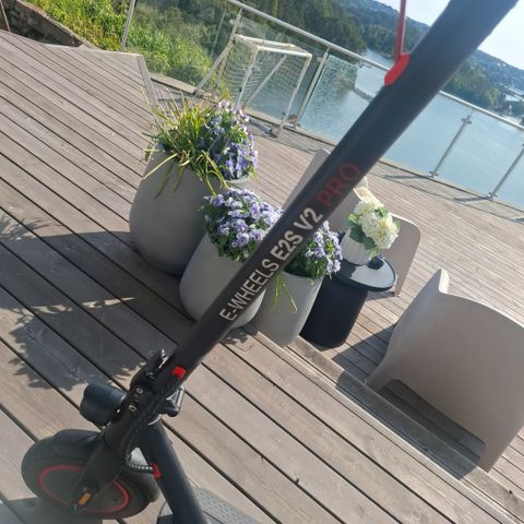 Annonsebilde