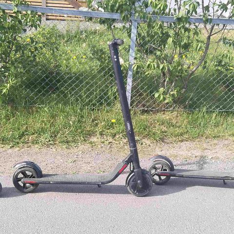 Annonsebilde