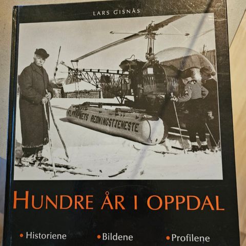 Annonsebilde