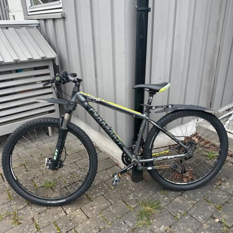 Annonsebilde