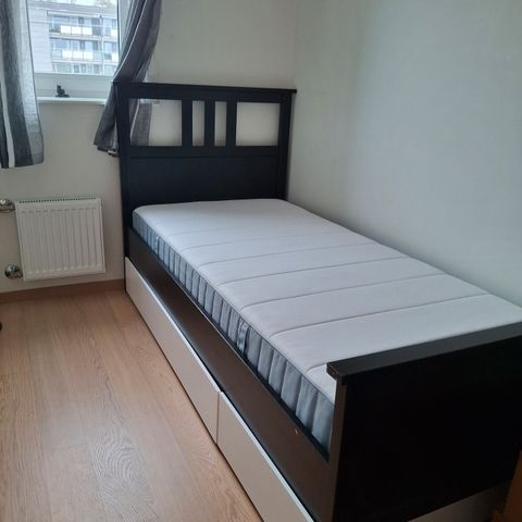 Annonsebilde