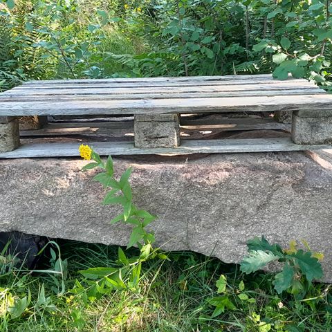 Annonsebilde