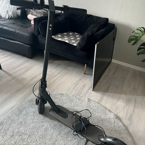 Annonsebilde