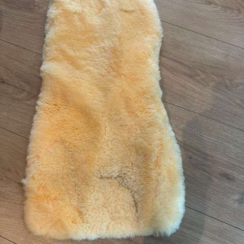 Annonsebilde