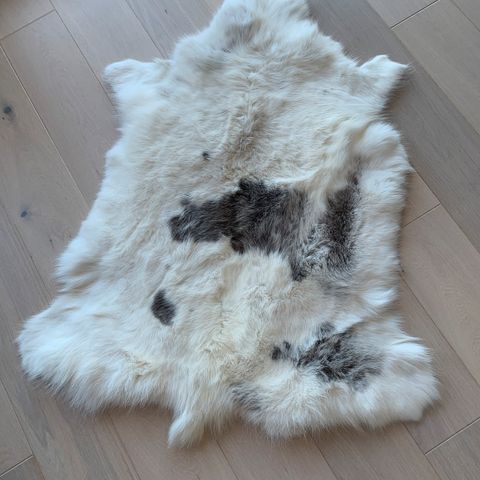 Annonsebilde