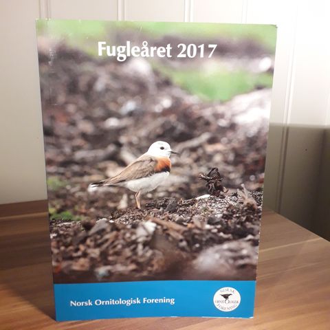 Annonsebilde