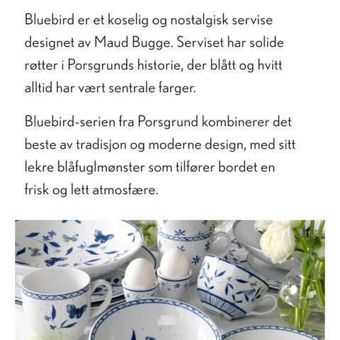 Annonsebilde