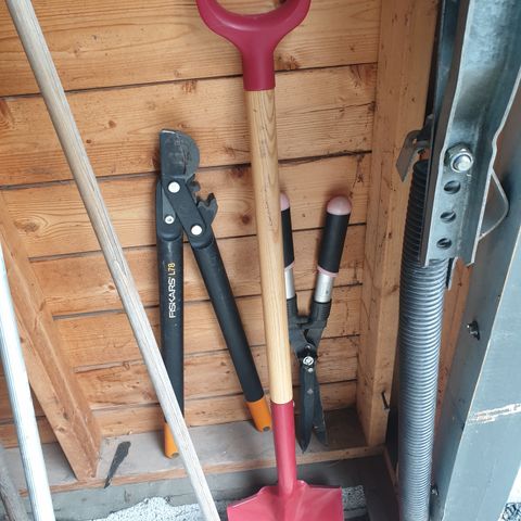 Annonsebilde