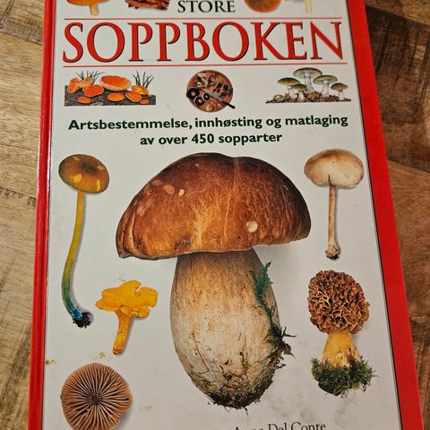 Annonsebilde