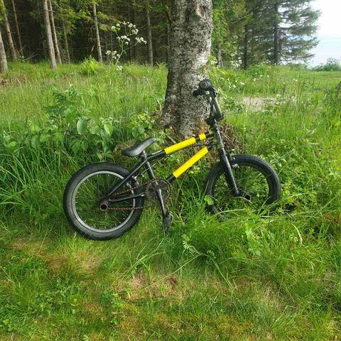 Annonsebilde