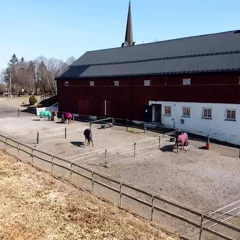 Annonsebilde