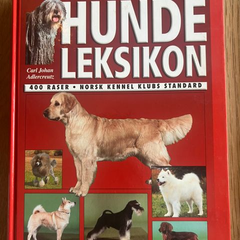 Annonsebilde
