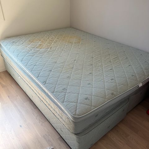 Annonsebilde
