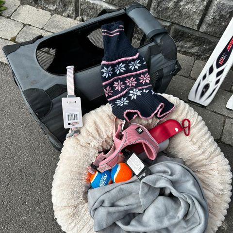 Annonsebilde