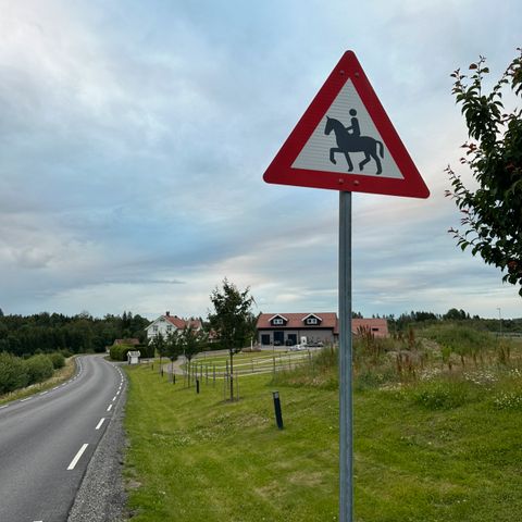 Annonsebilde