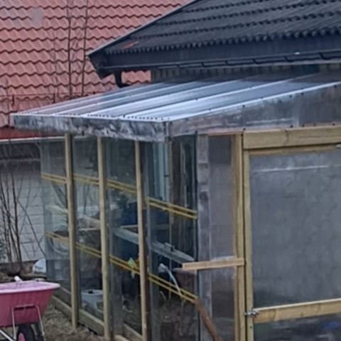Annonsebilde