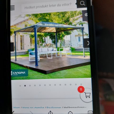 Annonsebilde