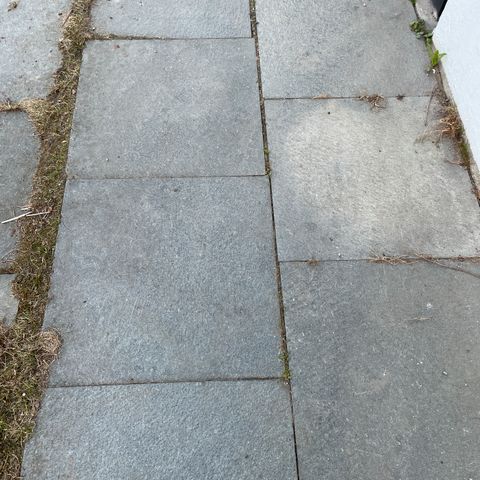 Annonsebilde