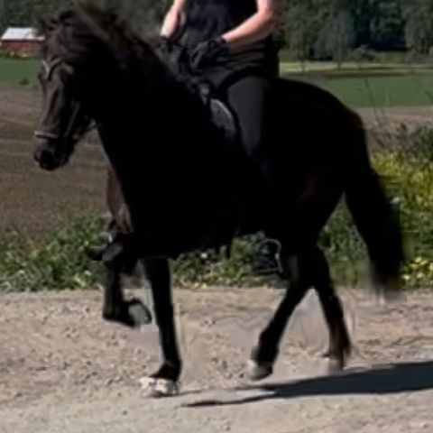 Annonsebilde