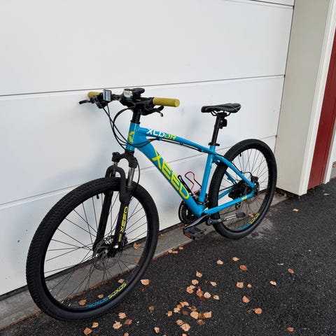 Scott Roxter 20 og 24