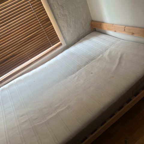 Annonsebilde