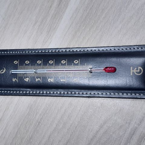 Annonsebilde