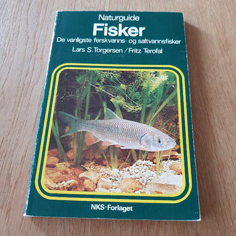 Annonsebilde
