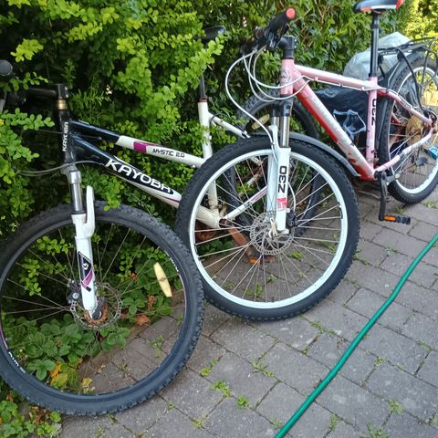 Annonsebilde