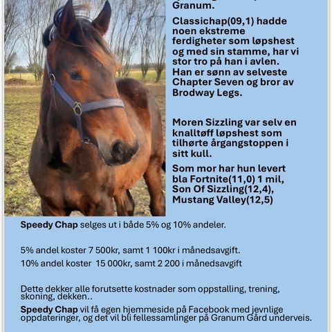 Annonsebilde