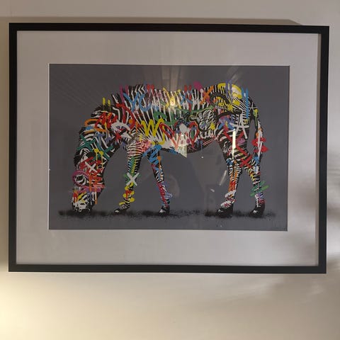 Martin whatson zebra | FINN-torget
